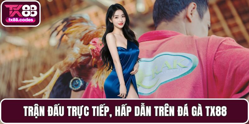 Trận đấu trực tiếp, hấp dẫn trên đá gà TX88